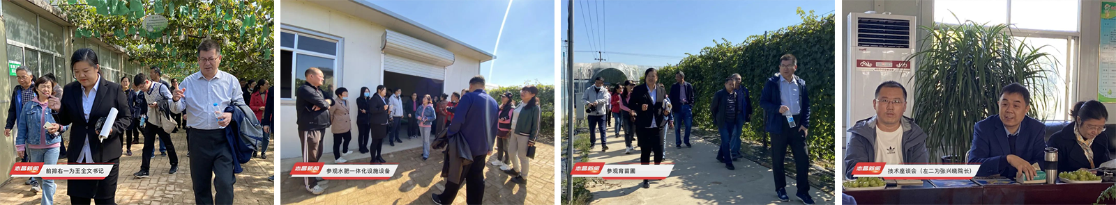 魯東大學(xué)生命科學(xué)院專家來(lái)志昌農(nóng)業(yè)考察交流(圖1)