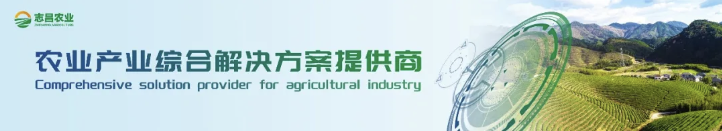 葡萄種質(zhì)資源抗霜霉病鑒定研究(圖1)