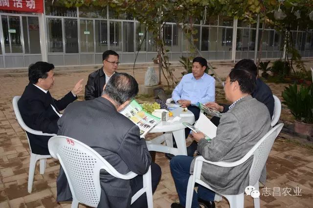 山東省供銷社領導到莒縣志昌果品專業(yè)合作社調(diào)研指導工作(圖2)