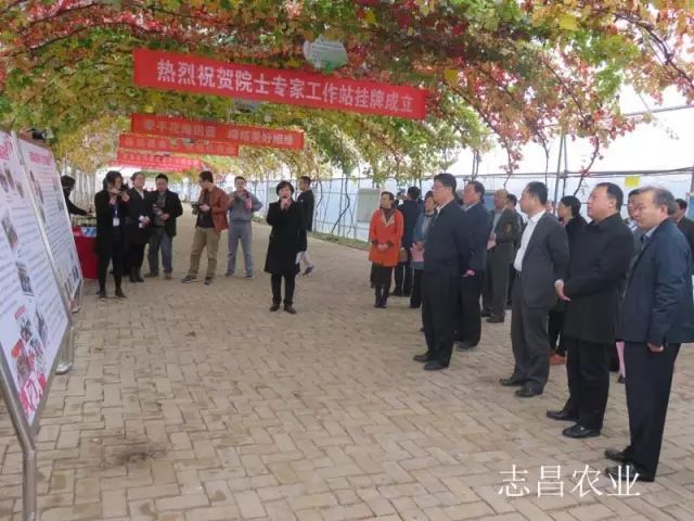 匯聚巾幗力量 助力精準扶貧 --全市行業(yè)社會扶貧現(xiàn)場會在公司召開(圖1)