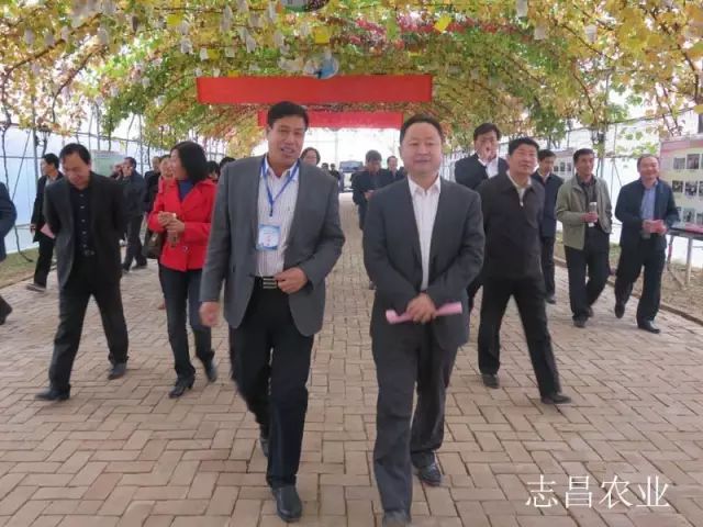 匯聚巾幗力量 助力精準扶貧 --全市行業(yè)社會扶貧現(xiàn)場會在公司召開(圖5)