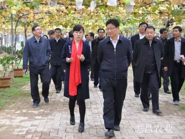匯聚巾幗力量 助力精準扶貧 --全市行業(yè)社會扶貧現(xiàn)場會在公司召開(圖2)
