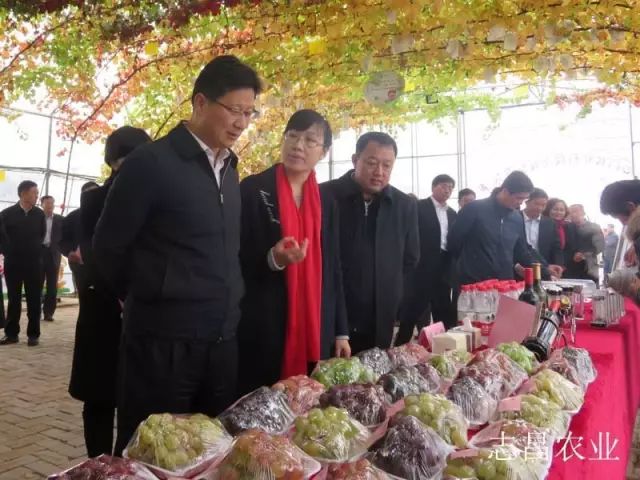 匯聚巾幗力量 助力精準扶貧 --全市行業(yè)社會扶貧現(xiàn)場會在公司召開(圖3)