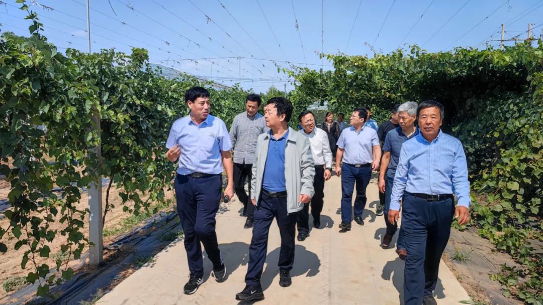 市老科學(xué)技術(shù)工作者協(xié)會(huì)調(diào)研組到志昌農(nóng)業(yè)調(diào)研工作(圖2)