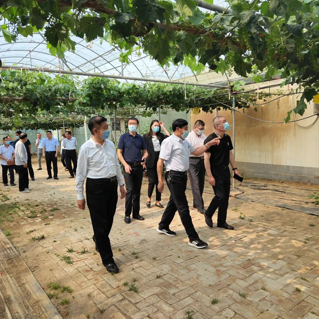 創(chuàng)新驅(qū)動(dòng)添活力，助力企業(yè)上臺(tái)階——市科協(xié)調(diào)研組到志昌農(nóng)業(yè)調(diào)研創(chuàng)新驅(qū)動(dòng)發(fā)展情況(圖1)